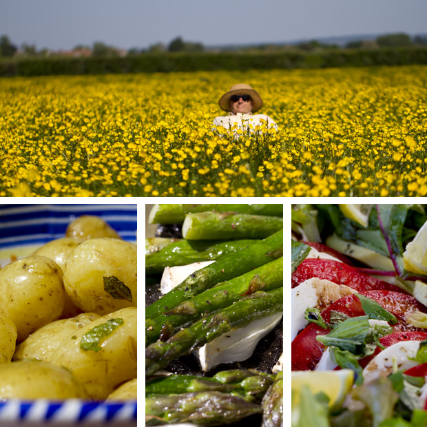 main photo_buttercups