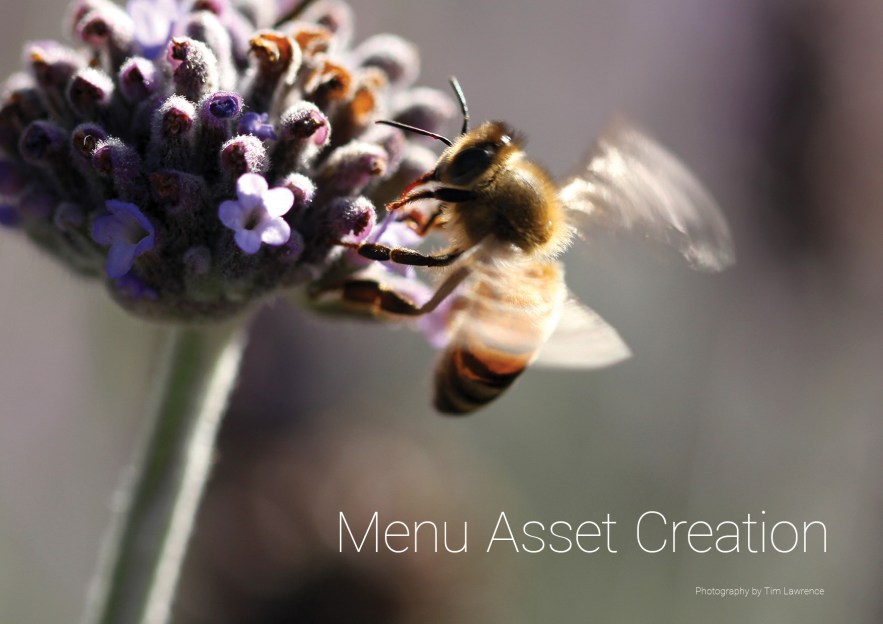 Portfolio_Tim_Lawrence_March2020_16