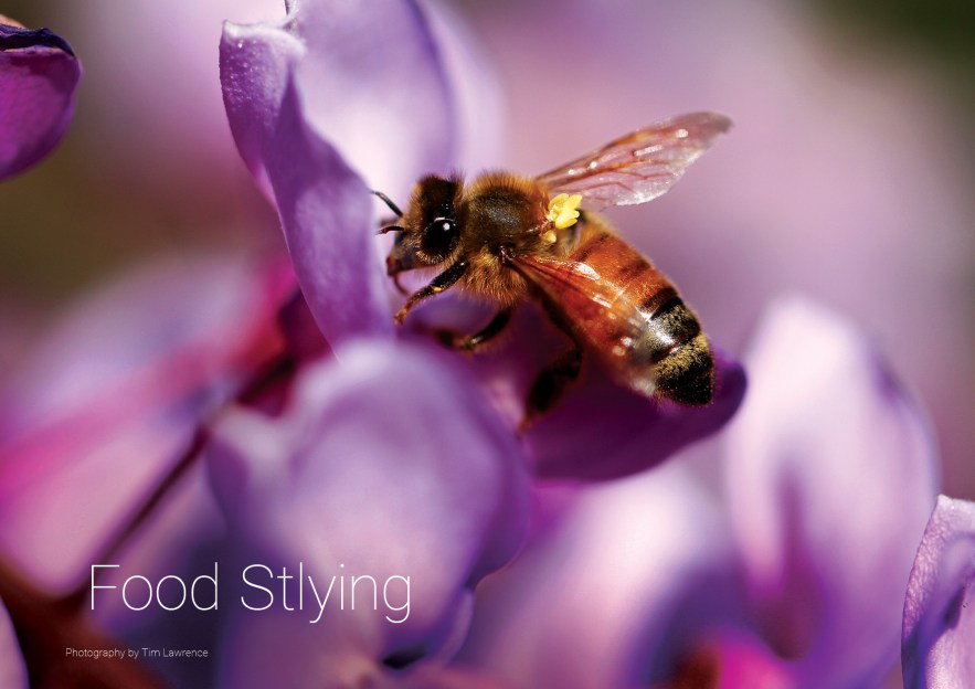 Portfolio_Tim_Lawrence_March2020_21