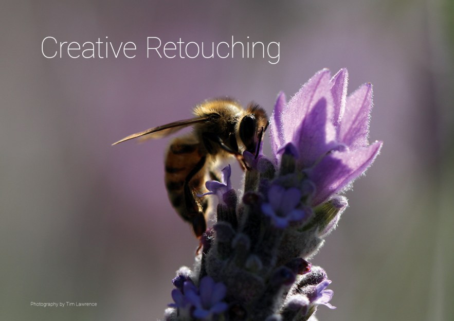 Portfolio_Tim_Lawrence_March2020_26